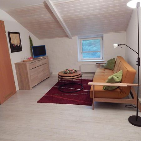 Ferienwohnung Schwemmer Пирна Екстериор снимка