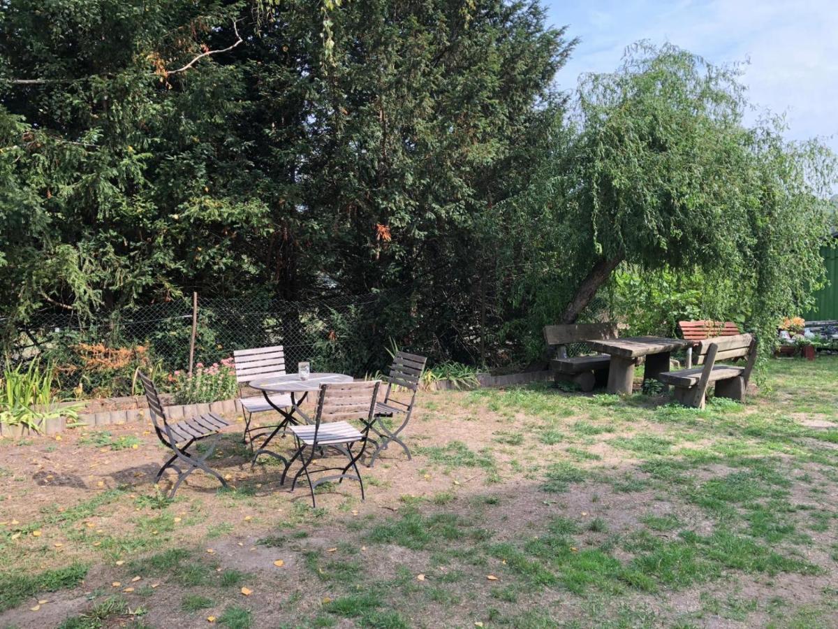 Ferienwohnung Schwemmer Пирна Екстериор снимка